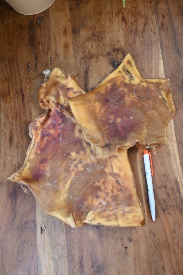 Runderkophuidplaat XL