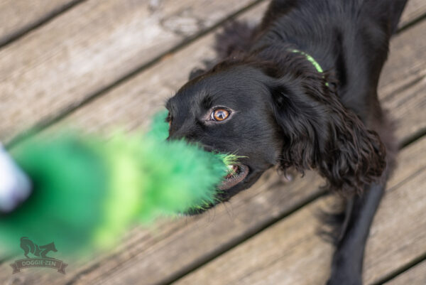 Hondenspeelriem met imitatiebont 120cm