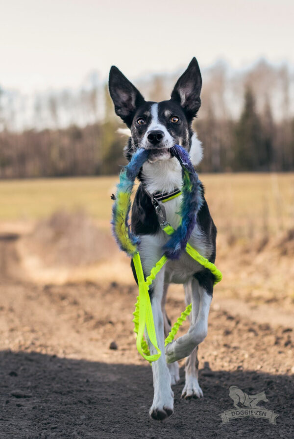 Bungee hondenspeelriem 180 cm met imitatiebont