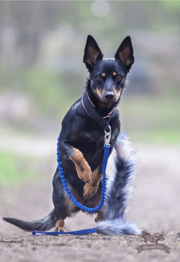 Bungee hondenspeelriem 180 cm met imitatiebont