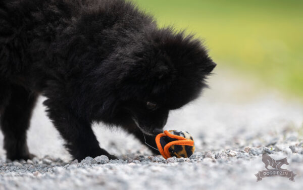treat-ball-xs-orange-5a Tractatie- en knisperbal velboa stof