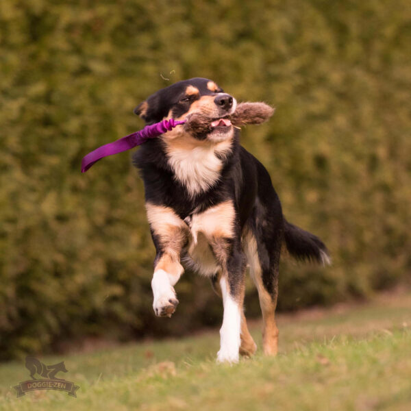 Bungee ­speeltje met beverbont 50 cm